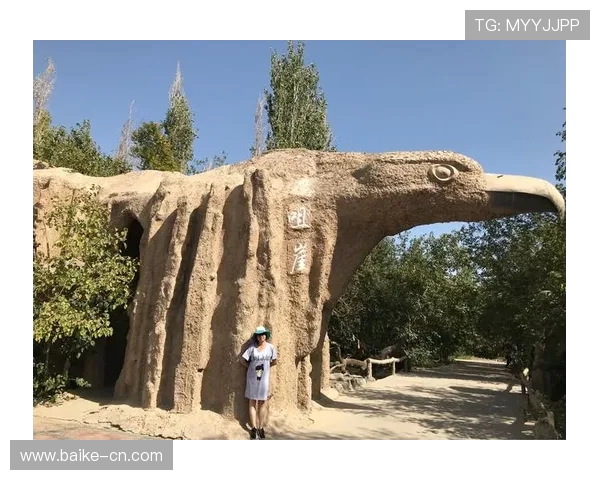 滑板纪实:见证杭州滑板队从传统到现代的蜕变与成长之路 滑板纪实:见证杭州滑板队从传统到现代的蜕变与成长之路