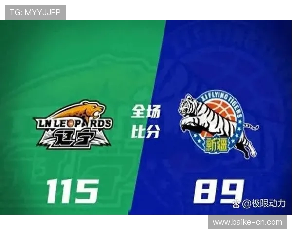 2015年新疆与福建激战回顾精彩瞬间与赛场亮点全解析