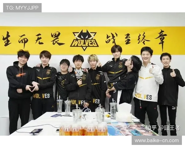 聚焦英雄联盟战队WE的技术分析与战术探讨