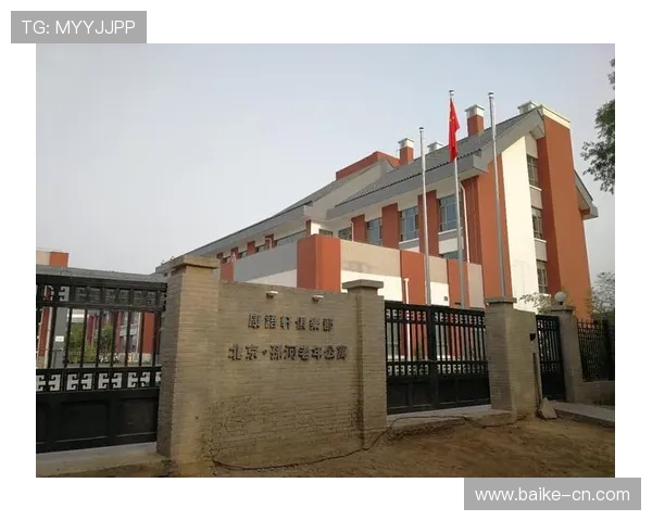 南京乒乓球队在钻石联赛中的拼搏历程与荣耀时刻全景回顾 南京乒乓球队在钻石联赛中的拼搏历程与荣耀时刻全景回顾